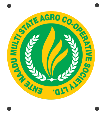 about-greenforet-img