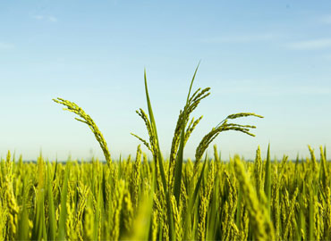 people-working-img-2