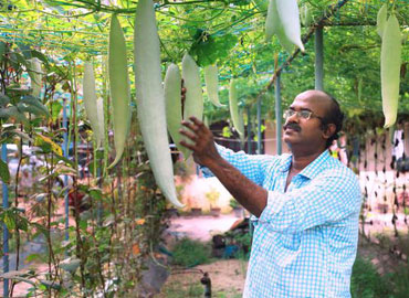 people-working-img-1