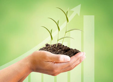 people-working-img-3